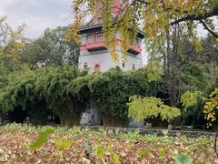 -四川大学(华西校区)