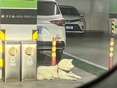 -青岛万象城