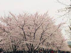 -龙美术馆西岸馆-停车场