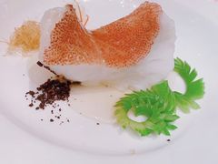 东星斑清蒸-8餐厅(新葡京酒店)