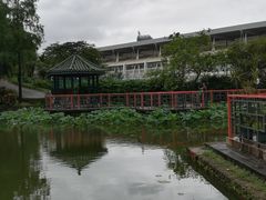 -纪念孙中山市政公园