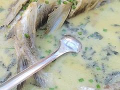 -老梅园大虾城(河西店)