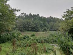 -桤木河湿地公园