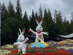 -东平国家森林公园