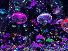 -梵高星空艺术馆(北京旗舰店)