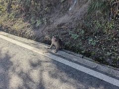 -太阳湾风景区
