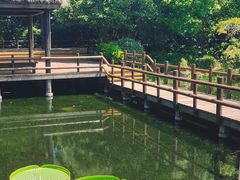 -上海滨江森林公园