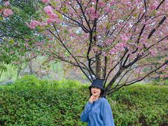 -西安青龙寺遗址景区