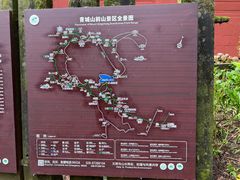 -青城山