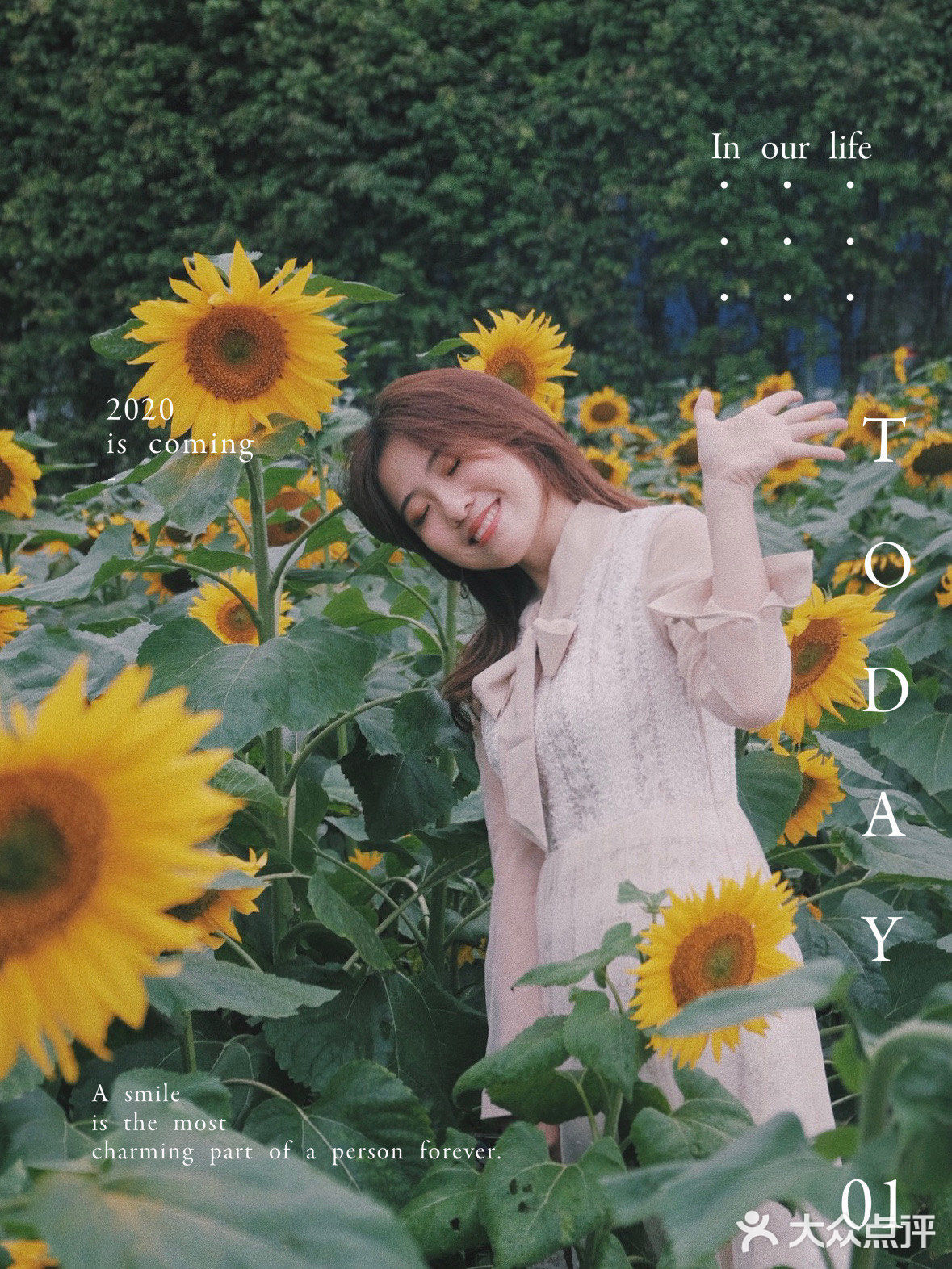 广州周边0元拍照地｜春日里的向日葵花海🌻