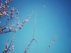 -无锡梅园公园