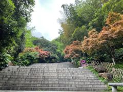 -岳麓山风景名胜区