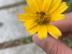 -音乐在线主题氧吧KTV(佳宁娜广场店)