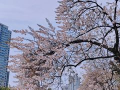 -红星桥(地铁站)