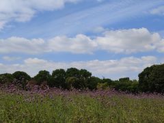 -山明水秀大饭店