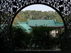 -桂湖森林公园
