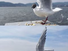 -海埂大坝