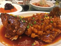 -蔡阿水羊肉店