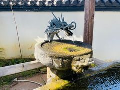 -东方艺术博物馆