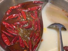 -麻田会 ·鲜活现烹·牛蛙火锅(珠江新城维家思广场店)