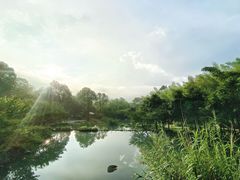 -明月山风景名胜区