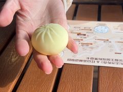 -鸡鸣汤包(红山动物园店)