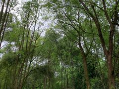 -邓小平故里