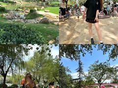 -张店儿童公园