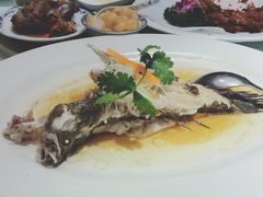 -席家花园(巨鹿花园店)