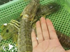 -拉威海鲜市场