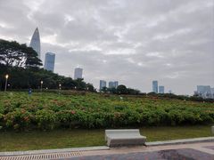 -深圳湾公园(南山区)