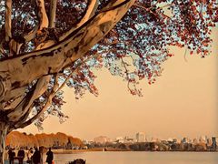 -康熙养生SPA·轻奢足道(江宁万达店)