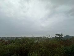 -狼山风景名胜区