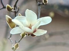 -烈士陵园(地铁站)