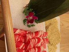 -淼福猪肚鸡·椰子鸡火锅(大沙地店)