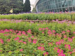 -石家庄市植物园