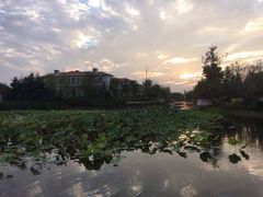 iphone_upload_pic-上海玫瑰园度假酒店