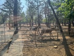-秦皇岛野生动物园