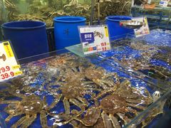 -东江海鲜酒家(艺都分店)