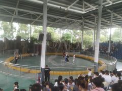 -泉州海丝野生动物世界