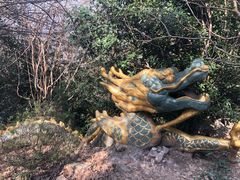 -紫金山山顶公园