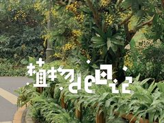 -深圳仙湖植物园
