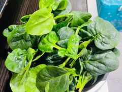 -新梅居(宁海东路店)