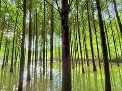 -天河潭旅游度假区