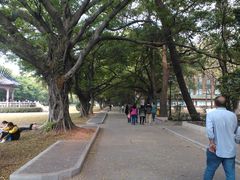 -中山大学学者灵芝(园南路店)