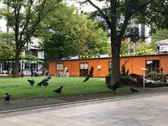 -札幌电视塔