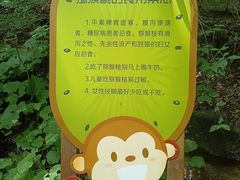 -大岭沟猕猴桃谷风景区
