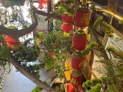 -食德喜·阳山鸡王食研基地