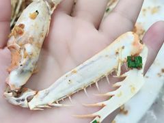 -凤城康记饭店