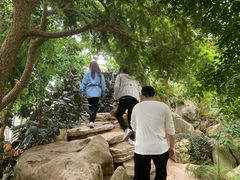 -南通洲际绿博园